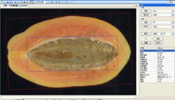LA-S瓜果剖切面、瓤色图像分析仪