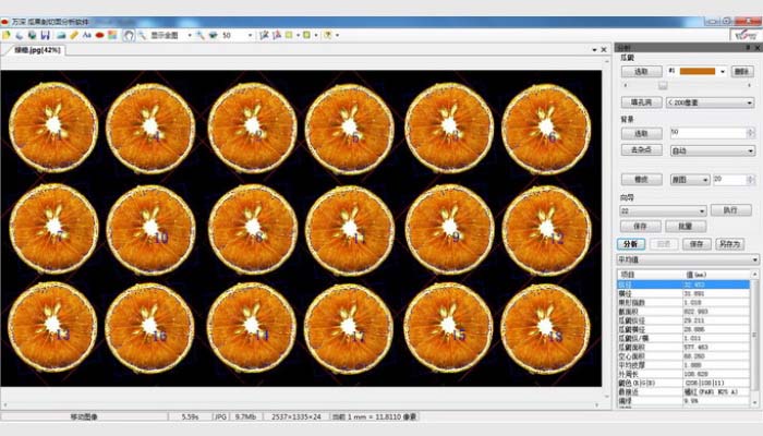 LA-S瓜果剖切面、瓤色图像分析仪