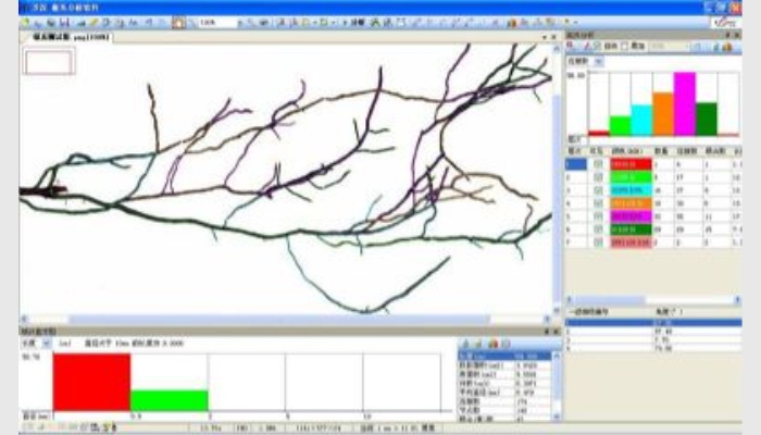 LA-S系列植物根系分析仪,根系分析系统