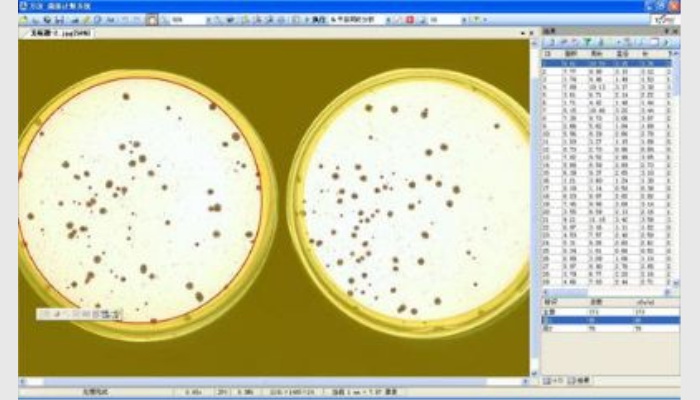 AlgaeC-P型多功能生物监测仪浮游生物计数鉴定系统