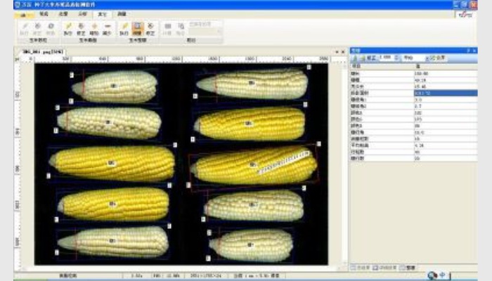 SC-G玉米自动考种分析及千粒重仪系统,玉米考种仪,玉米考种系统,自动考种仪,自动考种分析仪