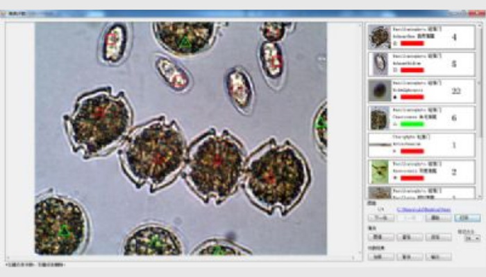 AlgaeC型浮游生物（藻类、浮游动物）智能鉴定计数仪