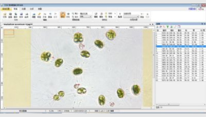 AlgaeC型浮游生物（藻类、浮游动物）智能鉴定计数仪