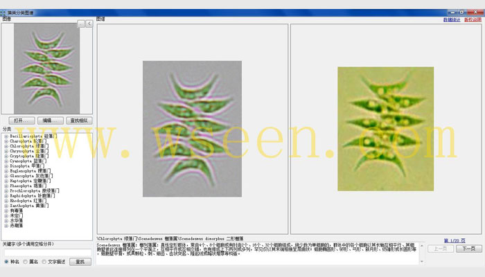 AlgaeC-P型多功能生物监测仪浮游生物计数鉴定系统