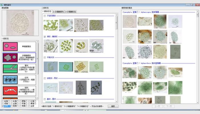 AlgaeC-P型多功能生物监测仪浮游生物计数鉴定系统