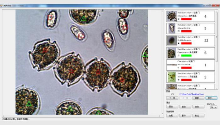 AlgaeC-P型多功能生物监测仪浮游生物计数鉴定系统