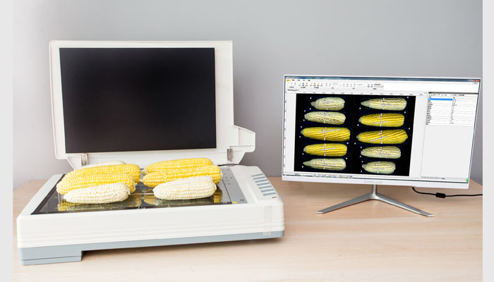 SC-G玉米自动考种分析及千粒重仪系统,玉米考种仪,玉米考种系统,自动考种仪,自动考种分析仪