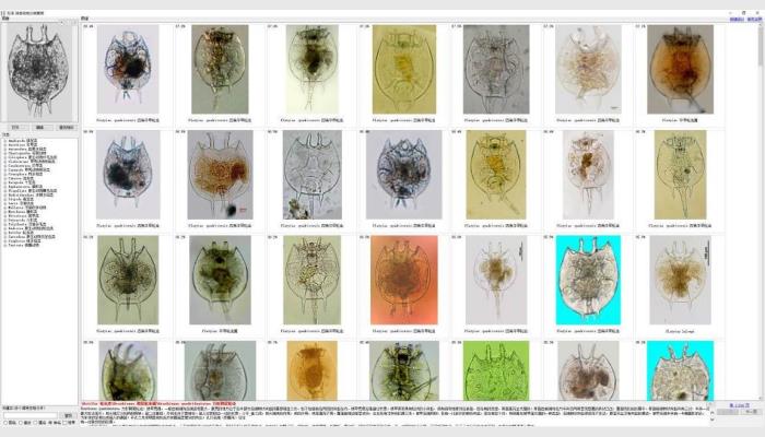 AlgaeC型浮游生物智能鉴定计数仪,藻类分析仪,藻类计数仪