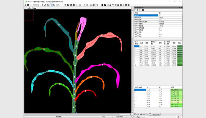 PhenoGA植物表型分析测量仪