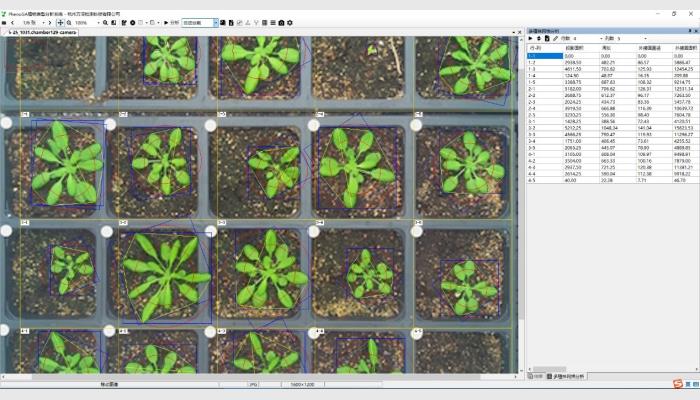 PhenoGA植物表型分析测量仪