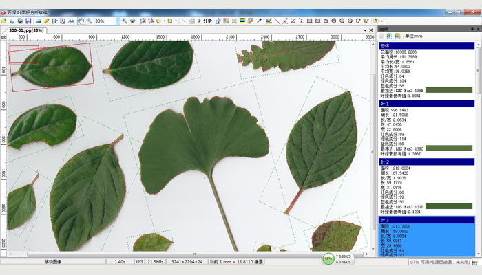 LA-S植物图像分析仪系统（叶面积+瓜果剖切面分析组合版）